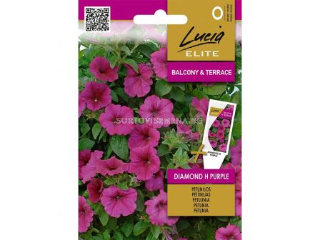 СК СЕМЕНА ПЕТУНИЯ PETUNIA DIAMOND H PURPLE  