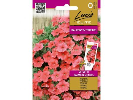 СК СЕМЕНА ПЕТУНИЯ PETUNIA VELVET H SALMON SHADES  