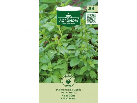 СЕМЕНА БЛАТНА МЕНТА  - СК 