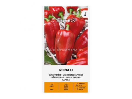 СЕМЕНА ПИПЕР СЛАДЪК REINA H -  СК