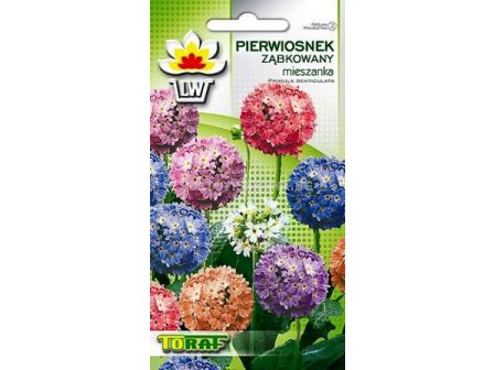 Семена Примула - топчеста (Toraf) - sortovisemena.bg Семена Примула - топчеста (Toraf)