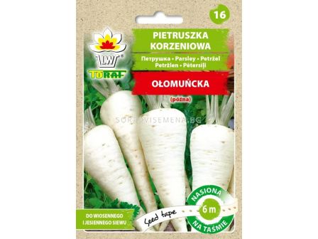 ТОРАФ СЕМЕНА МАГДАНОЗ КОРЕНОВ ЛЕНТА 6М Pietruszka Olomuncka  