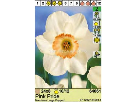 Нарцис/ Narcissus Pink Pride - Пакет: 1 оп. - 8 бр. - 2