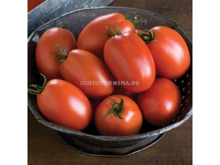 Семена Домати PLUM REGAL F1/ BJ -1000 семена