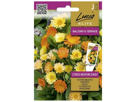 СЕМЕНА НЕВЕН ЦИТРУС МИКС POT MARIGOLD CITRUS MIXTURE DAISY - СК 