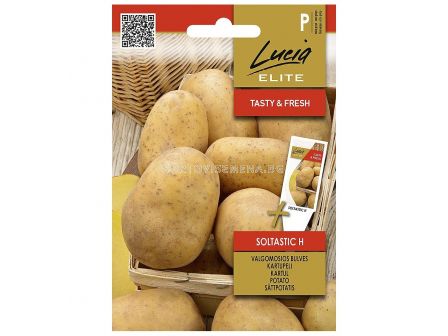 СЕМЕНА КАРТОФИ СОЛТАСТИК Х 10 СЕМ POTATO SOLTASTIC H  - СК