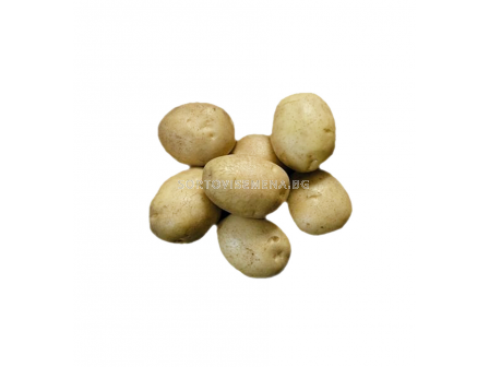 СЕМЕ КАРТОФИ ADORA/ POTATOES ADORA -КАТЕГОРИЯ A -  5 KG	  - 1