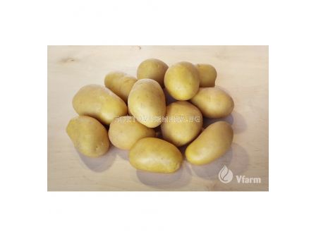 СЕМЕ КАРТОФИ EMANUELLE/ POTATOES SEEDS EMANUELLE - КАТЕГОРИЯ  A -  2KG - 1