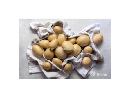 СЕМЕ КАРТОФИ PRADA / POTATOES SEEDS PRADA - КАТЕГОРИЯ A - 1