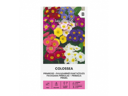 ИГЛИКА COWSLIP COLOSSEA - PRIMROSE-'SK- 50 семена - 2