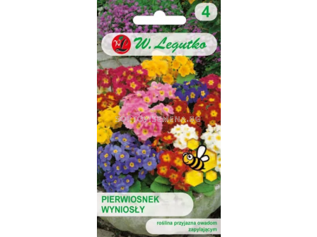 СЕМЕНА ПРИМУЛА  elatior mixture -  ЛГ