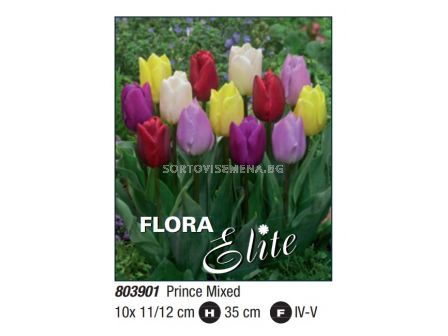 Лале /Single early Prince mixed/ 1 оп (10 бр )  - 2