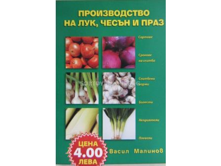 Производство на лук, чесън и праз - sortovisemena.bg Производство на лук, чесън и праз
