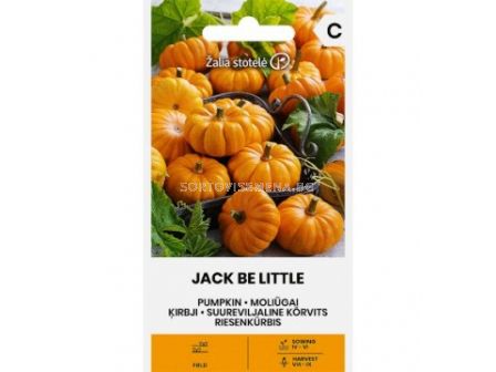 СК СЕМЕНА ТИКВА ДЖАК PUMPKIN, JACK BE LITTLE