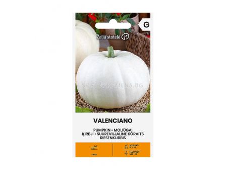 СЕМЕНА ТИКВА ВАЛЕНСИАНО PUMPKIN VALENCIANO СК 