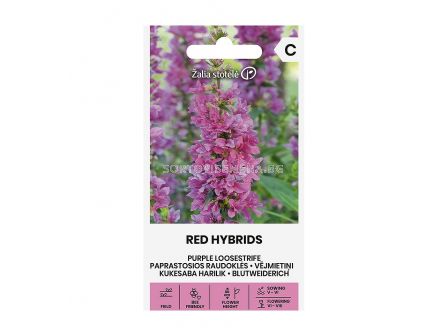 СЕМЕНА ЛИТРУМ ЧЕРВЕН  PURPLE LOOSESTRIFE  RED HYBRIDS - СК