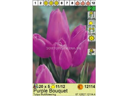 Лале/ Tulipa Purple Bouquet - Пакет: 1 оп.- 5 бр.