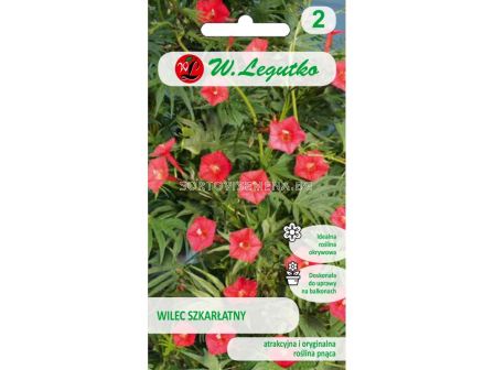 Ипомея-червена - Quamoclit coccinea red (1.00g)-Legutko - sortovisemena.bg Ипомея-червена - Quamoclit coccinea red (1.00g)-Legutko