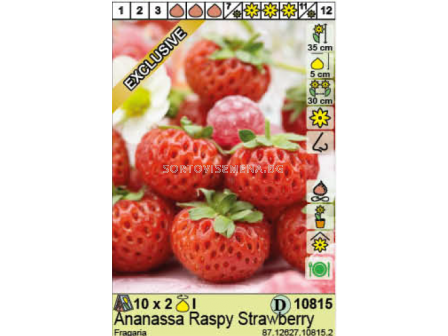 Ягоди / Fragaria Ananassa Raspy Strawberry / 1 оп- 2 корена - 2