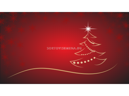 voucher - 2