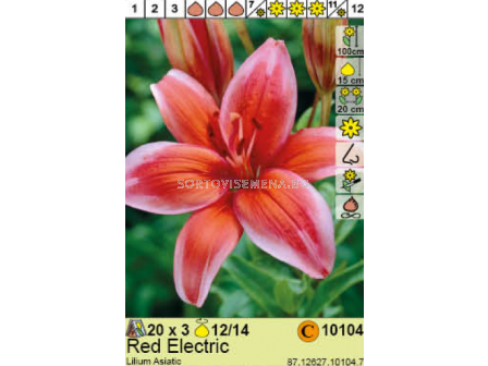 Лилиум Red Electric - 1 опаковка - 3 броя