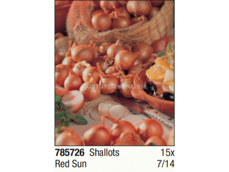 Лук шалот Red Sun - 1 опаковка - 15 броя