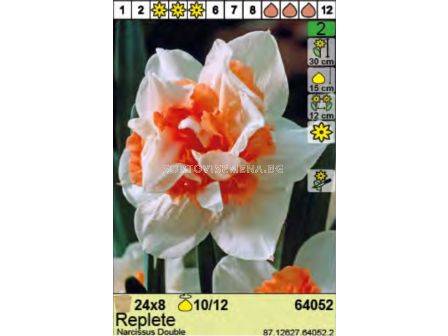 Нарцис/ Replete - Пакет: 1 оп.- 8 бр. - 2