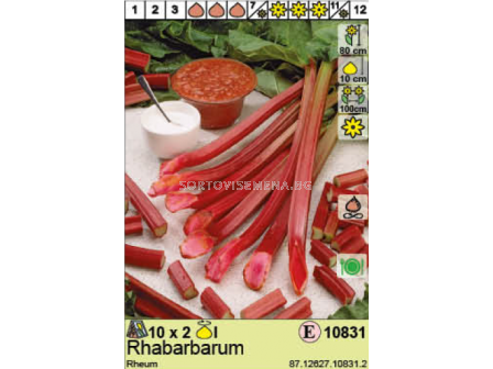 Ревен / Rheum Rhabarbarum / 1 оп- 2 корена