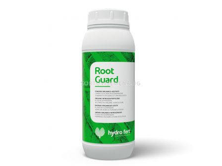 Руут Гард - Root Guard  - 3