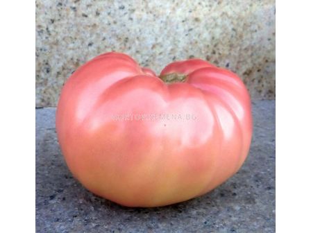 Семена домати Роял Пинк F1 - Розов -  Royal Pink F1 - 500 бр. семена - 3