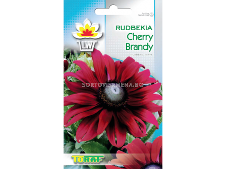 Семена Рудбекия Cherry Brandy