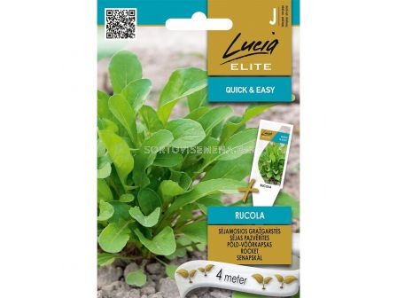 СК СЕМЕНА РУКОЛА - 4М ЛЕНТА