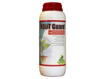 Руут Гард - Root Guard  - 1