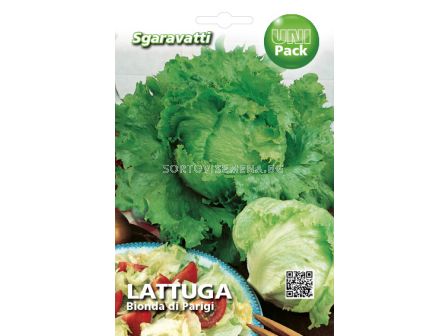 Семена Салата (Lettuce) Batavia Bionda di Parigi`SG