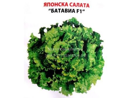Семена салата Батавиа F1