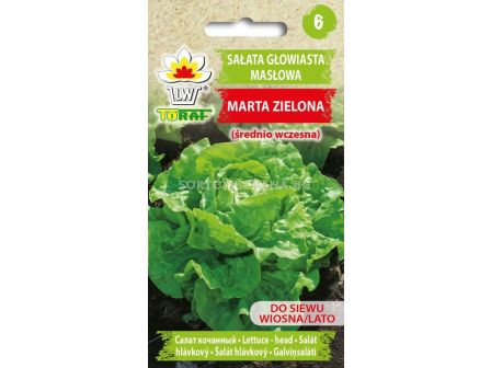 ТОРАФ Семена салата тип маслена глава МАРТА (средно ранна) Salata maslowa Marta Zielona TF - 1г