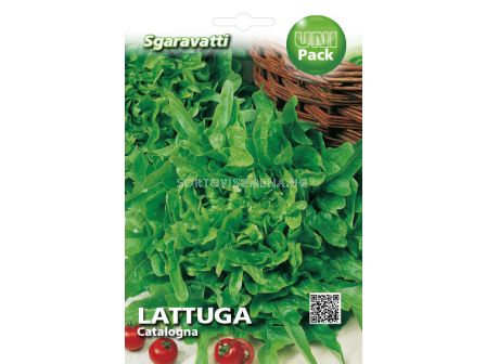 Семена салата Каталогна`SG - lettuce Catalogna`SG 
