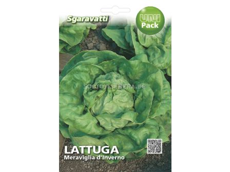 Семена Салата (Lettuce) Meraviglia d'Inverno`SG
