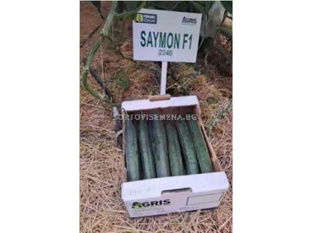Семена краставици SAYMON /ZKI/ - 250 семена - 1