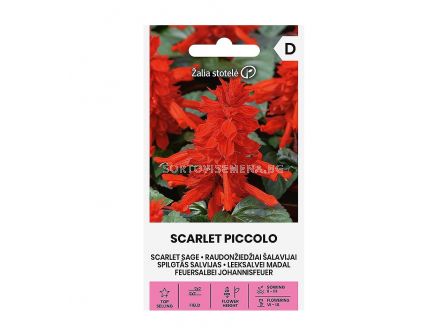СК СЕМЕНА САЛВИЯ SCARLET SAGE SCARLET QUEEN
