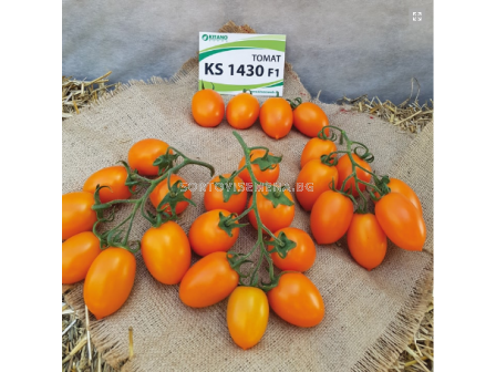 Семена Жълт домат KS 1430 - 3