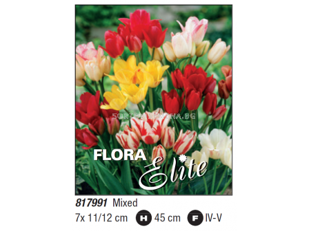 Лале мултифлора микс/ Tulipa multiflowered longstemmed mixed -  Пакет с 7 бр.