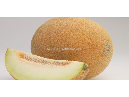 Семена пъпеш (тип ананас) РЕЙМЪНД - 1000 с.