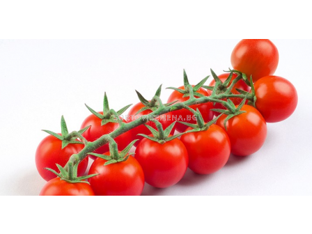 Семена домати ШИРЕН /чери/ - 500 с.