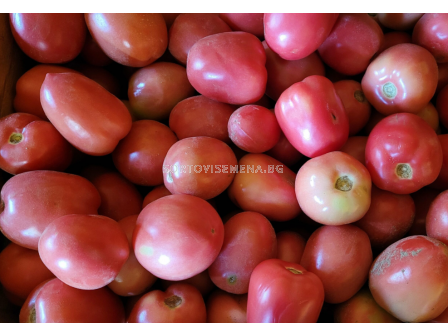 Семена домати Пинк Соул /розова рома/ - 500 с.