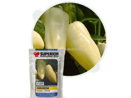 Семена пипер АМАНДА / AMANDA