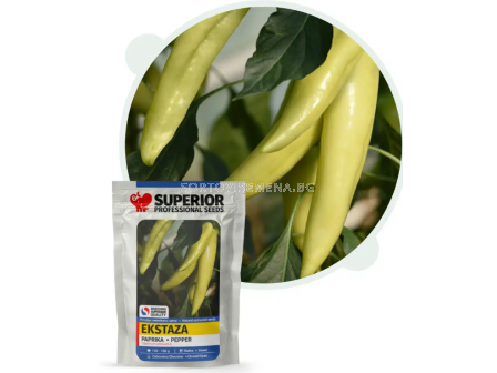 Семена пипер ЕКСТАЗА / EKSTAZA