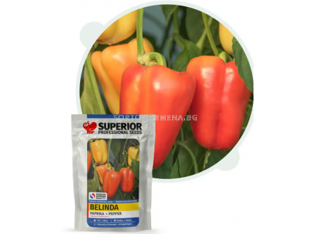 Семена пипер БЕЛИНДА / BELINDA - тип Долма - 2 г