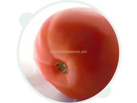 Семена домат СУПЕРИОР БИЙФ F1 / SUPERIOR BEEF F1