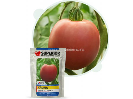 Семена домат КРУНА / KRUNA - безколков, розов